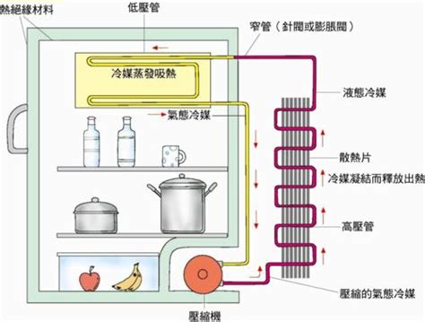 冰箱運作原理|解密冰箱運作原理